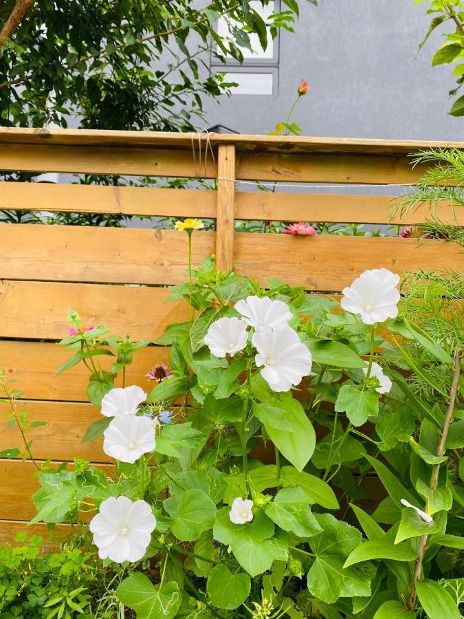 تورونتو Lovely II Space Share A Room East York Canada المظهر الخارجي الصورة