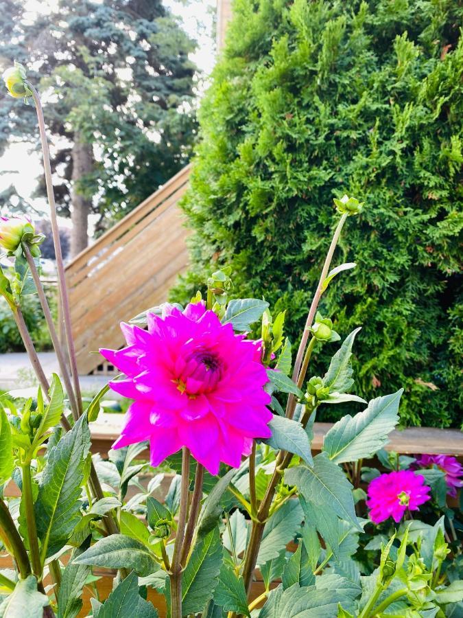 تورونتو Lovely II Space Share A Room East York Canada المظهر الخارجي الصورة