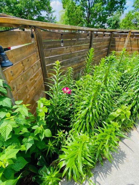 تورونتو Lovely II Space Share A Room East York Canada المظهر الخارجي الصورة